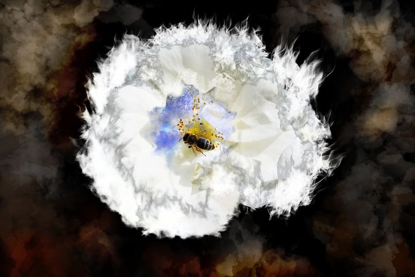 Biene in der Rose von RK