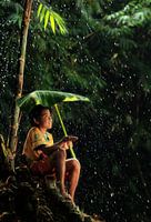 s'abriter de la pluie