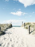 Pathway to the beach, Baltic Sea