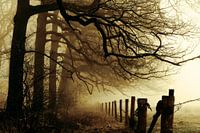 Momente der sanften Überzeugungskraft