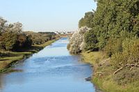 Water, dunes, rest, swans.