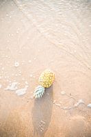 Reisefotografie - tropisches Foto - Ananas - Sommerfrucht