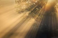 Es regnet Sonnenschein auf dem Utrecht Hill Ridge