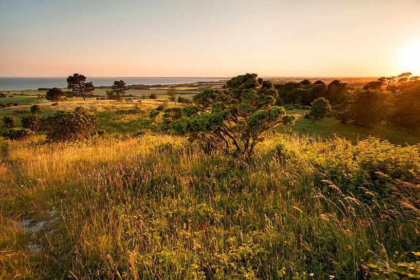 Île de Mön Danemark . Coucher de soleil à Aborrebjerg par Jiri Viehmann