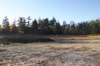 Landschap bij t keelven in someren