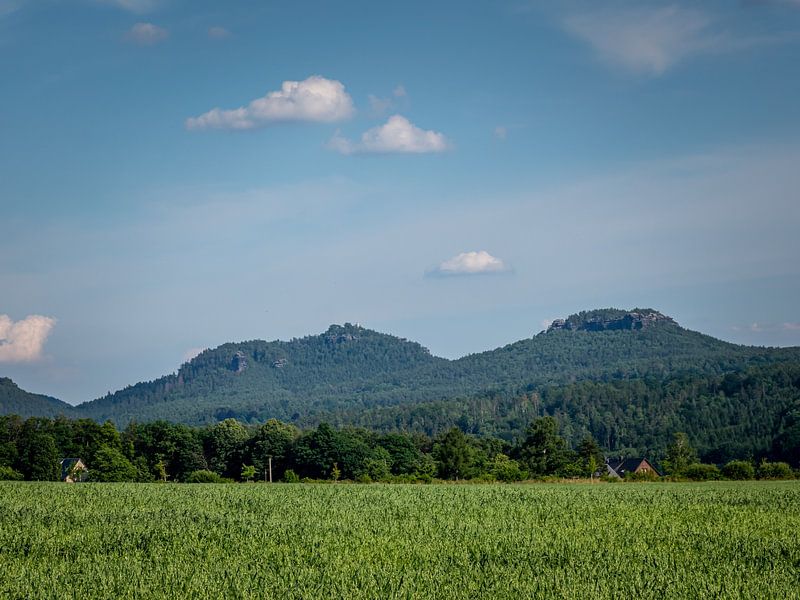 Mountain panorama in Saxon Switzerland by Animaflora PicsStock