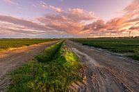 Le Noordoostpolder sous un jour nouveau