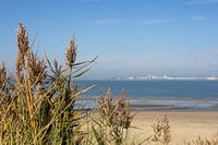 Uitzicht over de zee met de Skyline van Vlissingen op de achtergrond
