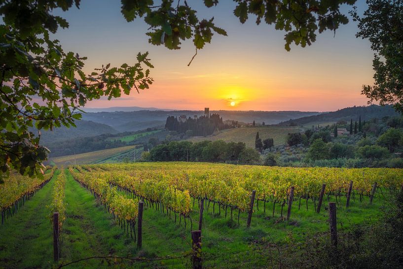 Weinberge bei Sonnenuntergang und die Abtei von Badia a Passignano im C von Stefano Orazzini