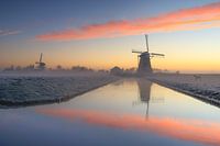 Mühlen in der Maasland-Landschaft.