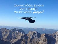 Freiheit in den Bergen