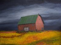 Scheune im gelben Feld