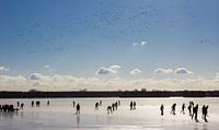 Een vlucht vogels boven de schaatsers op het bevroren Paterswoldse meer in Groningen
