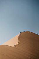 The undulating lines of Namibia's sand dunes