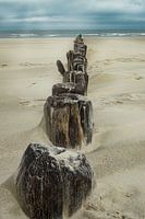 Holzpfosten am Strand