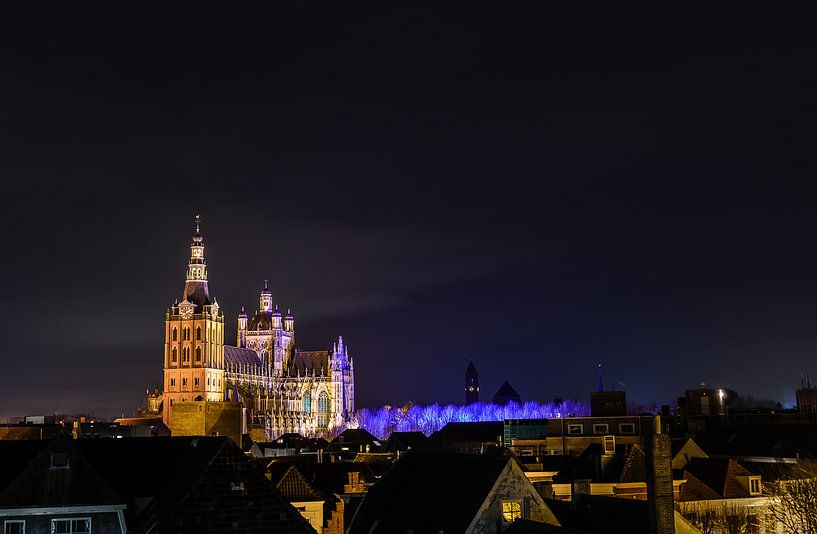Die St. Johannes-Kathedrale in Den Bosch von Jurgen Hermse