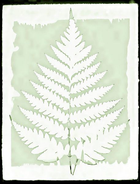 Feuille de fougère japonaise par FRESH Fine Art