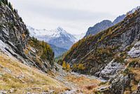 Blick auf eine bunte Berglandschaft im Herbst, Französische Alpen | Landschaftsfotografie