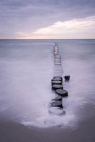 Windbreaker at the Sea