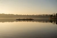 Matin brumeux et doré au bord de l'eau