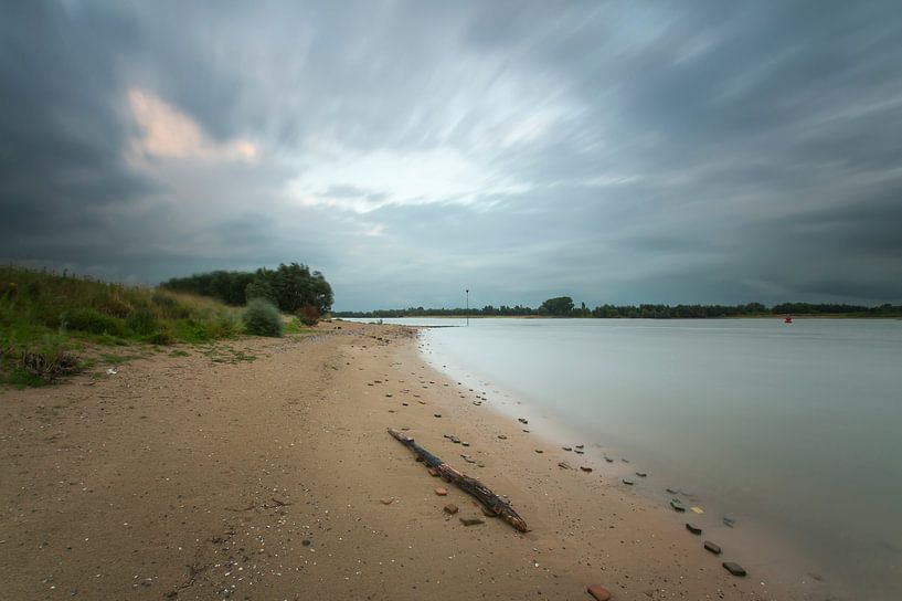 Dode tak van Jan Koppelaar Fotografie