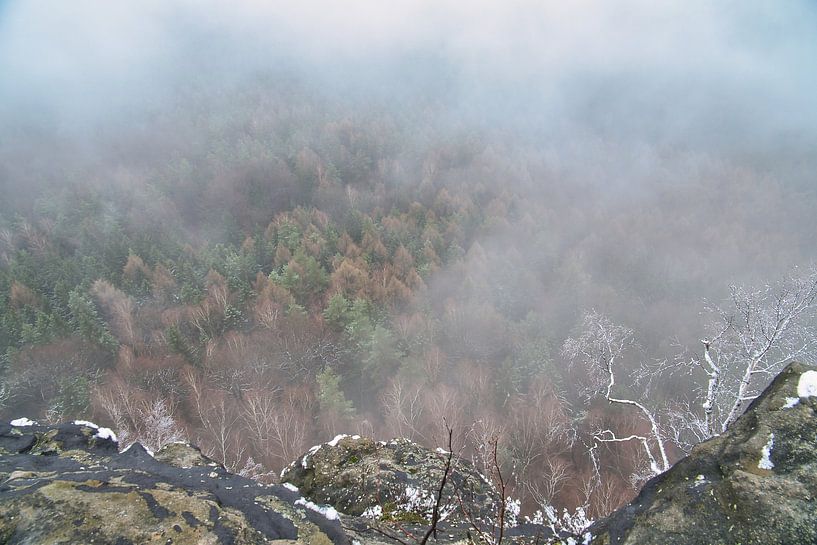 Forêt dans le brouillard dans les montagnes de l'Elbsandstein par Martin Köbsch