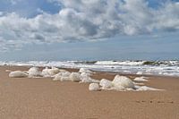 Schaum am Strand von Noordwijk