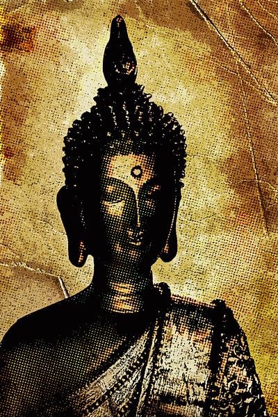 ZEN by Dagmar Marina