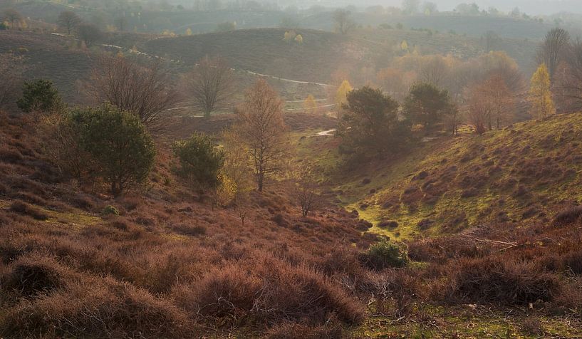 Lever de soleil sur la Posbank par René Jonkhout
