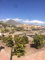 Plajas Los Americanas