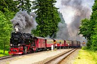 Steam train in the Harz
