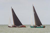 Skûtsjes auf dem IJsselmeer_02
