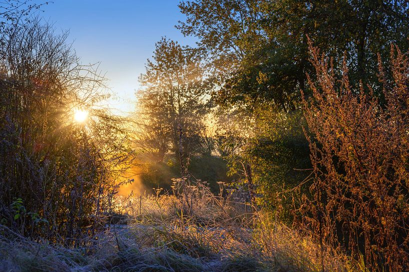 Lever de soleil sur la campagne dans un paysage naturel par une froide matinée d'automne par Maren Winter