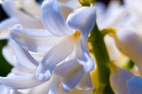 Der Frühling beginnt wieder