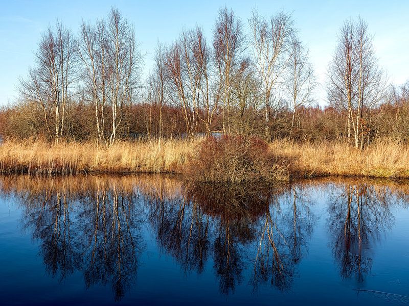 Ostroher Moor von Orangefield-images