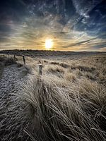 Pettener Dünen mit Frost