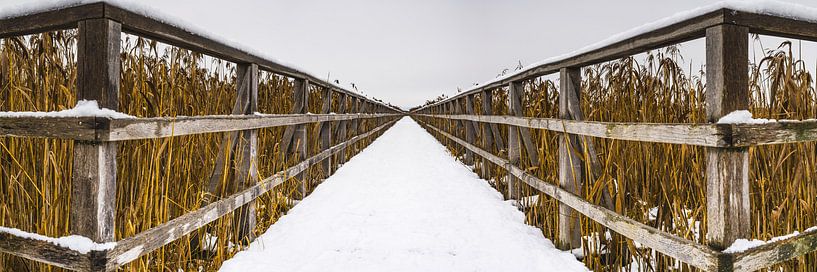 Naturschutzgebiet Federsee von Walter G. Allgöwer