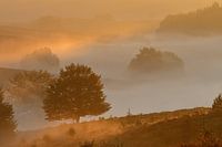 Lever de soleil atmosphérique sur la Posbank