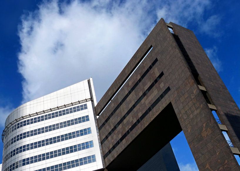 Weena 200 von Caroline Lichthart