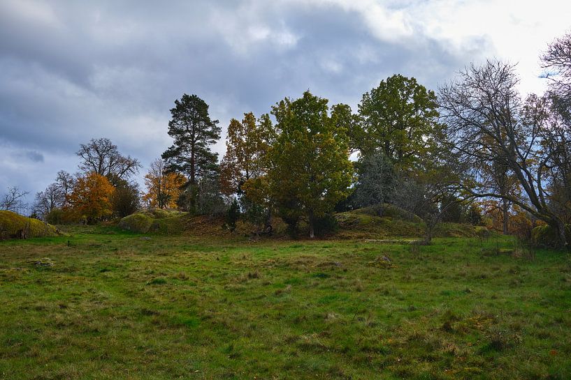 Autumn in Sweden 3 by Geertjan Plooijer