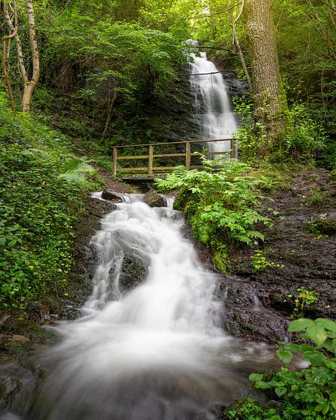 Dortebachtal, Eifel, Rheinland-Pfalz, Deutschland von Alexander Ludwig