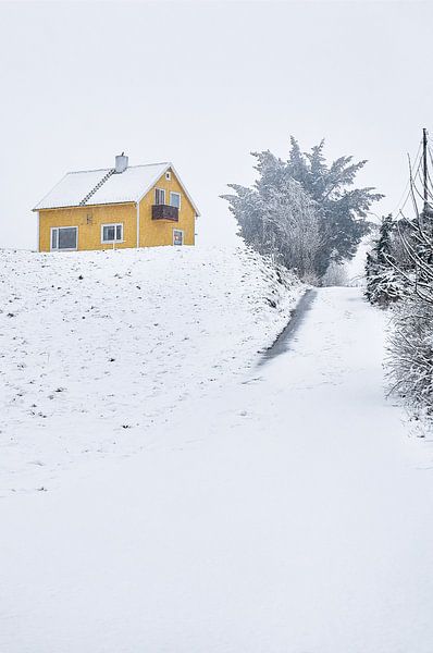 Maison isolée dans une tempête de neige à Godøy, Sunnmøre, Møre og Romsdal, Norvège par qtx