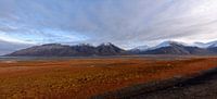 Svalbard view