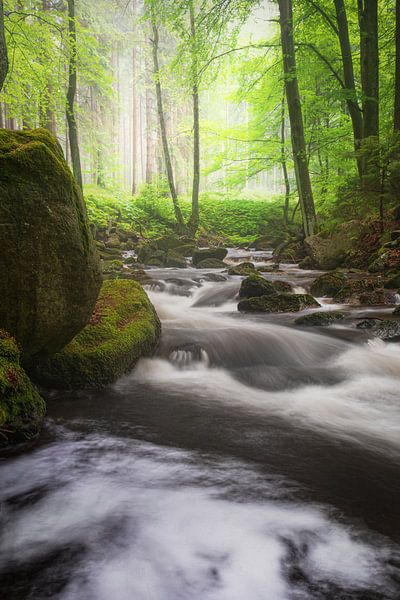 IlseGlow von Tim Lee Williams