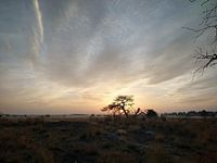 Lever de soleil sur la lande