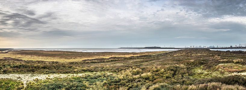 Panorama Oostvoorne by Frans Blok - photos, art and other wall decoration