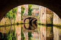 The Binnendieze in 's-Hertogenbosch