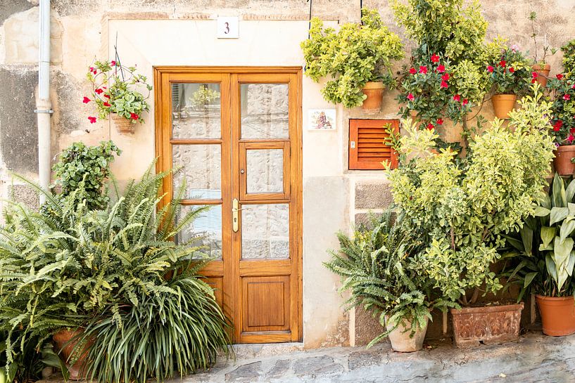 Urban Jungle in the streets of Valldemossa by Evelien Oerlemans