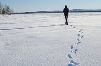 Winter hike on frozen lake in Swedish Lapland