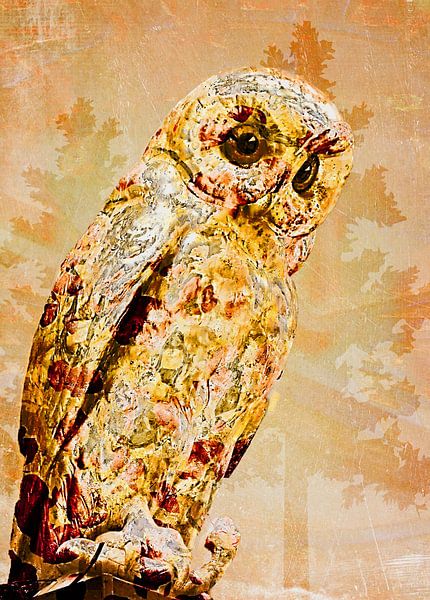 Eule von Roswitha Lorz